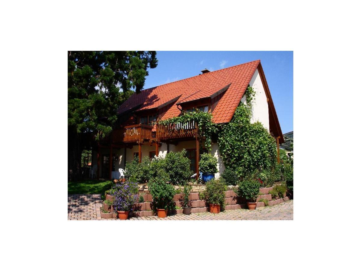 Gaestehaus Hellmer Neustadt an der Weinstraße Extérieur photo